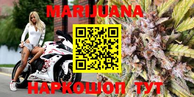 стаф Краснодар