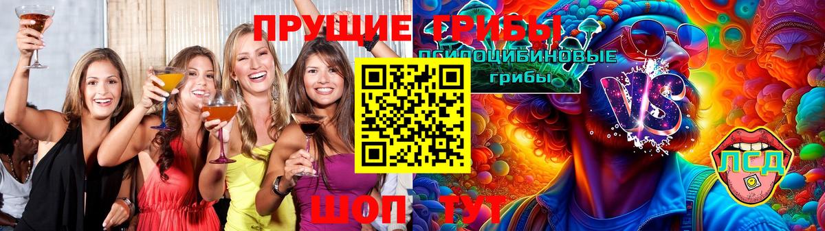 Галлюциногенные грибы Cubensis Канаш