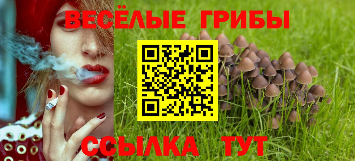 Галлюциногенные грибы MAGIC MUSHROOMS  Вход с VPN  наркотики  Псилоцибиновые грибы Magic Shrooms  Канаш 